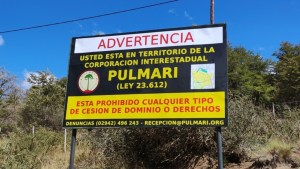 «Construcciones pegadas a las araucarias»: polémica en Pulmarí por venta ilegal de tierras