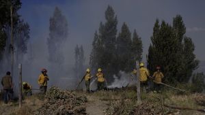 Riesgo de incendios en Río Negro: el SPLIF combatió fuego en zonas urbanas y detectó múltiples fogones