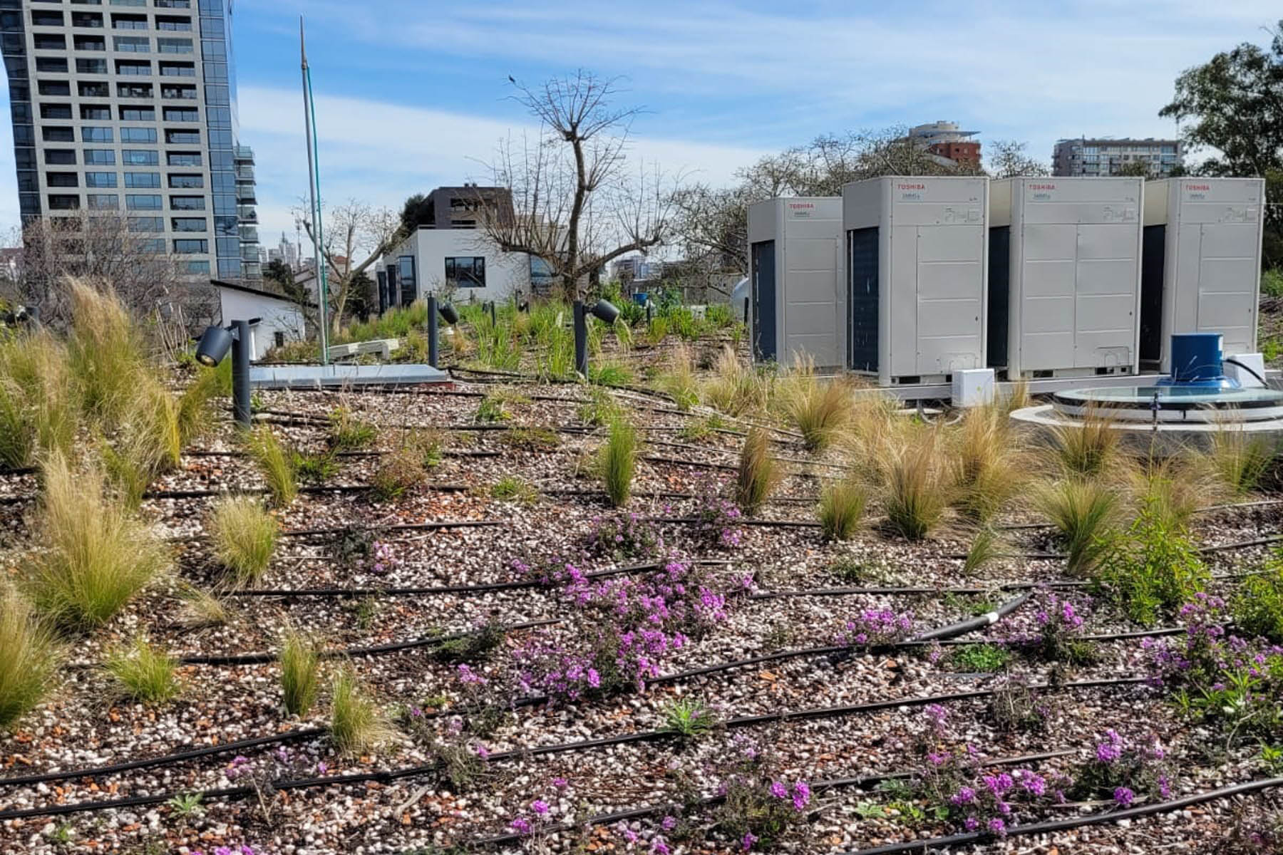 De Israel a la Patagonia: el riego por goteo desembarcó en los jardines del Alto Valle