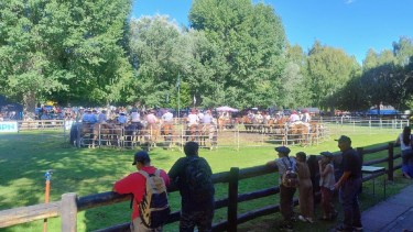 El predio de Junín de los Andes se colmó de visitantes en el segundo día de la 83° Expo Rural de Neuquén