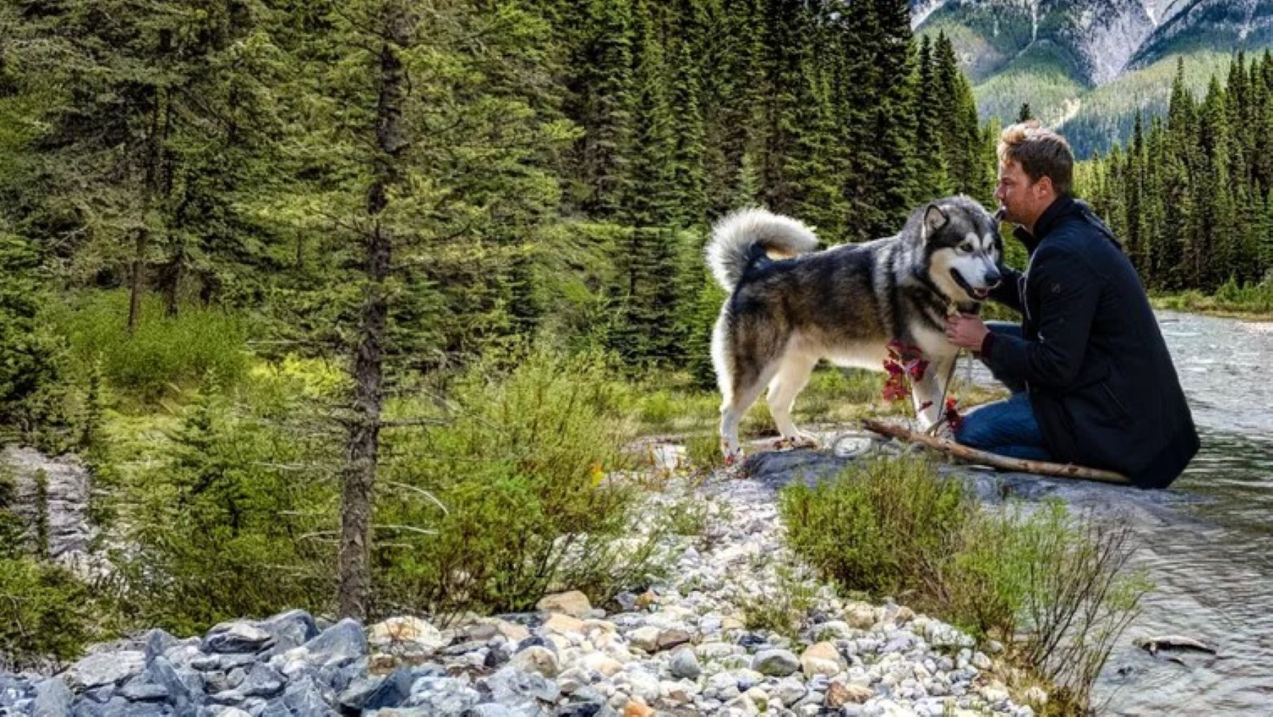 Sobreviviendo el camino a casa, la historia de amor más vista de Netflix