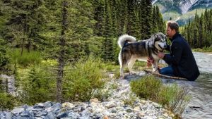 Sobreviviendo el camino a casa, la historia de amor más vista de Netflix