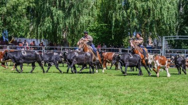 Junín de los Andes está lista para una nueva fiesta del campo con la 83° Expo Rural de Neuquén