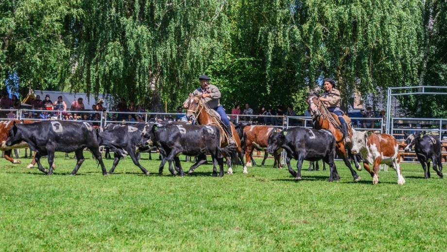 Expo Rural de Neuquén en Junín de los Andes.