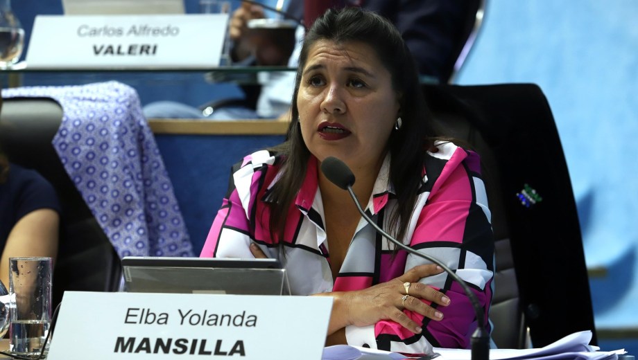 Mansilla criticó decisiones tomadas por el vicegobernador. Foto : Marcelo Ochoa.