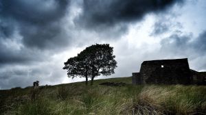 Cumbres borrascosas: de la oscuridad de la novela a la versión descremada del cine