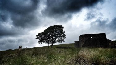 Cumbres borrascosas: de la oscuridad de la novela a la versión descremada del cine