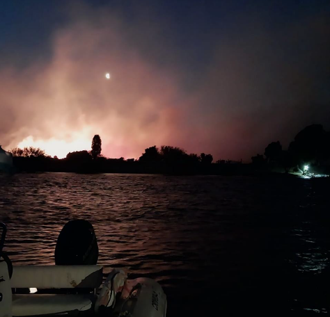 Una vez más, fuego en Los Alerces. Foto: gentileza