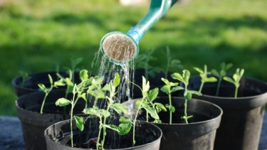 Cinco sistemas de riego caseros y económicos para que tus plantas sobrevivan a tus vacaciones