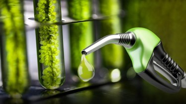 El Gobierno dio marcha atrás y habilitó el ingreso temporario de metilato de sodio