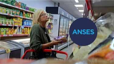 Cómo acceder a los reintegros de ANSES en febrero 2026: beneficios y condiciones clave