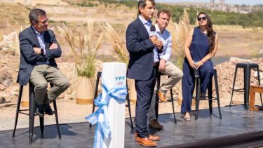 YPF Luz puso en marcha un parque eólico de US$ 80 millones en Olavarría