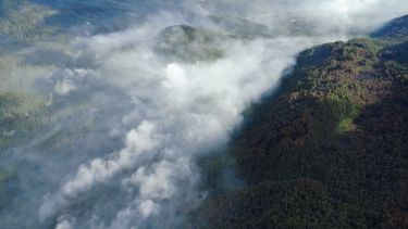 Incendios en la Patagonia: siguen focos activos en zonas norte y centro del Parque Nacional Los Alerces