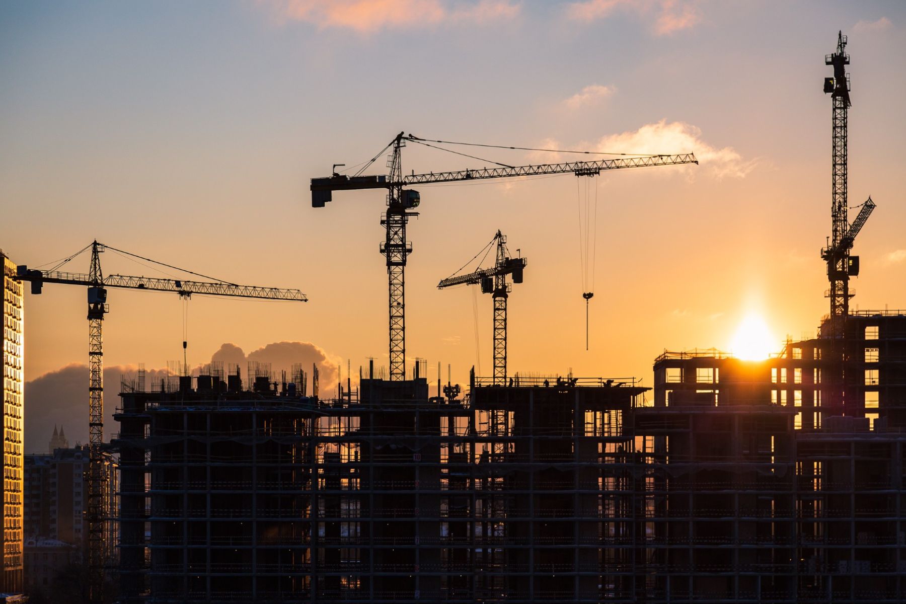 La pérdida de biodiversidad amenaza la estabilidad económica global