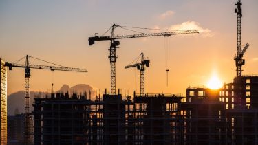 La pérdida de biodiversidad amenaza la estabilidad económica global