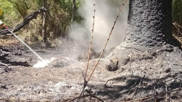 Alivio en la Patagonia: confirman que está extinto el incendio en parque nacional Lanín, qué dice el último parte