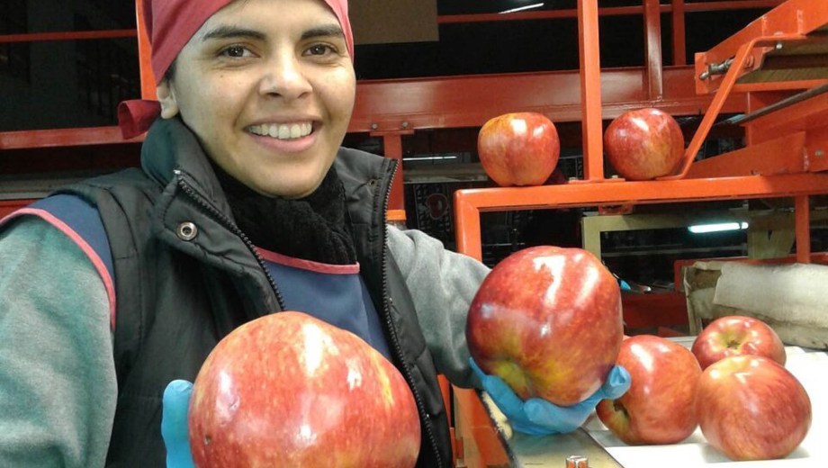 Andrea es clasificadora de fruta hace más de 25 años. Foto: gentileza. 
