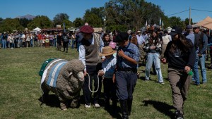 La Expo Rural de Bariloche tiene a sus grandes campeones