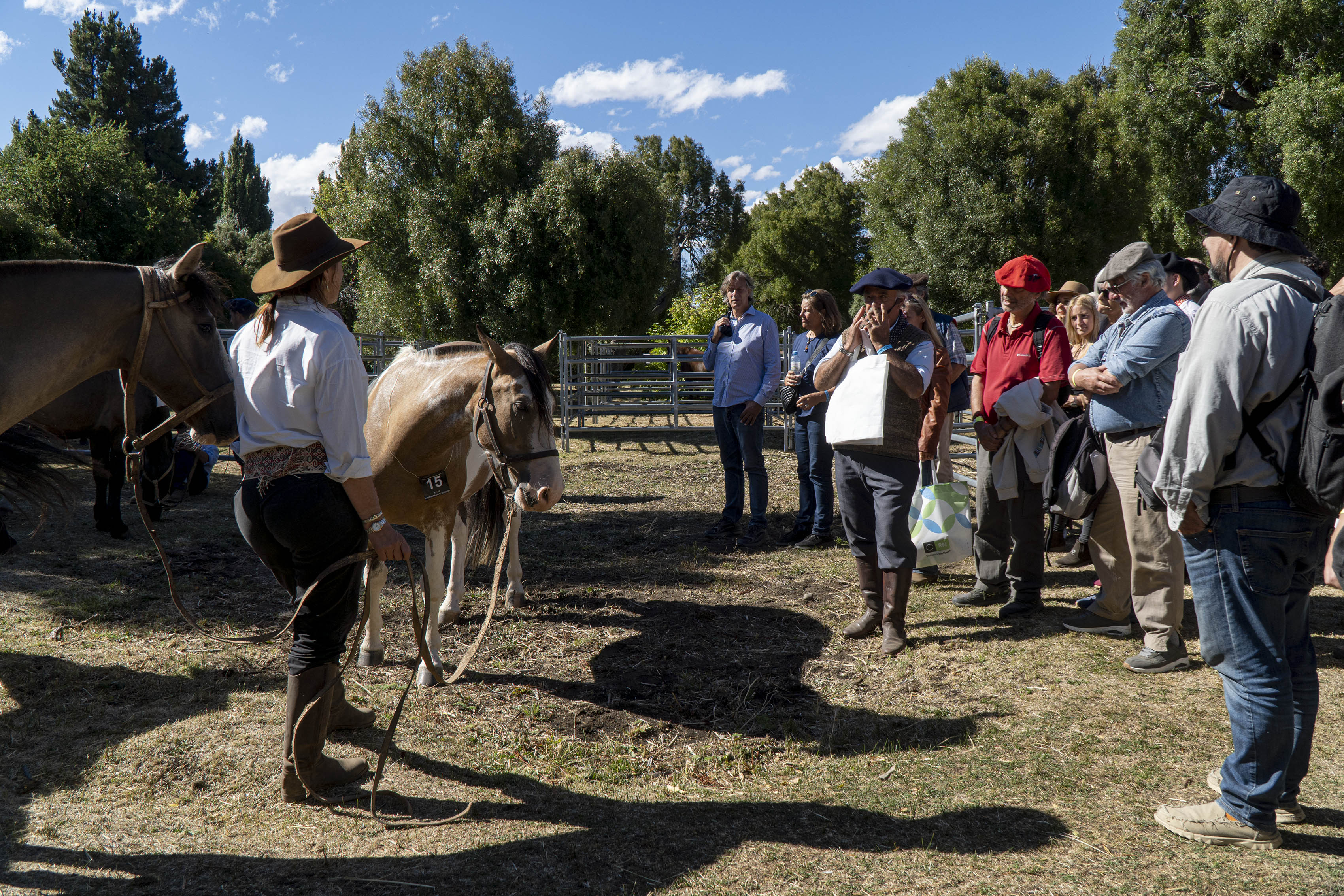 El trabajo del campo se muestra en la Expo Rural 2026 Bariloche ...