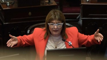 Reforma laboral: el video de Patricia Bullrich “a lo Madonna” para celebrar la media sanción del proyecto
