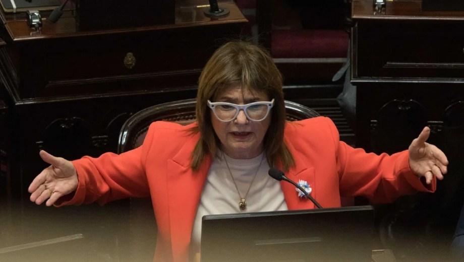 Patricia Bullrich. Foto: NA 