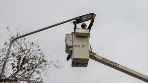 Neuquén se transforma: CALF garantiza la seguridad eléctrica en la nueva avenida Mosconi