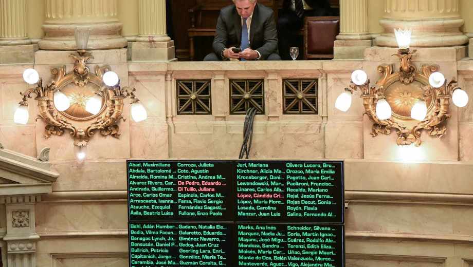 Di Tullio, “Wado” De Pedro y Cristina López fueron los únicos votos en contra. Foto: Clarín.