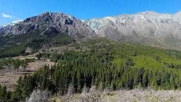 La puja por la usurpación de un predio forestal enfrenta a dos familias en El Bolsón