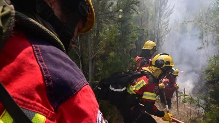 Incendios forestales en Chubut. Foto: gentileza 