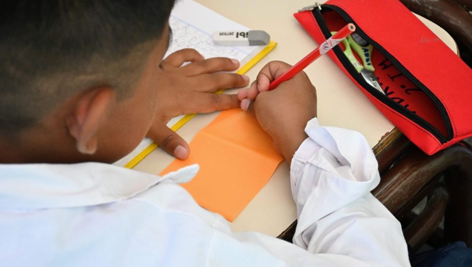 Según Argentinos por la Educación, solo el 50% de los estudiantes termina la primaria con los conocimientos necesarios. (Foto archivo: Florencia Salto).