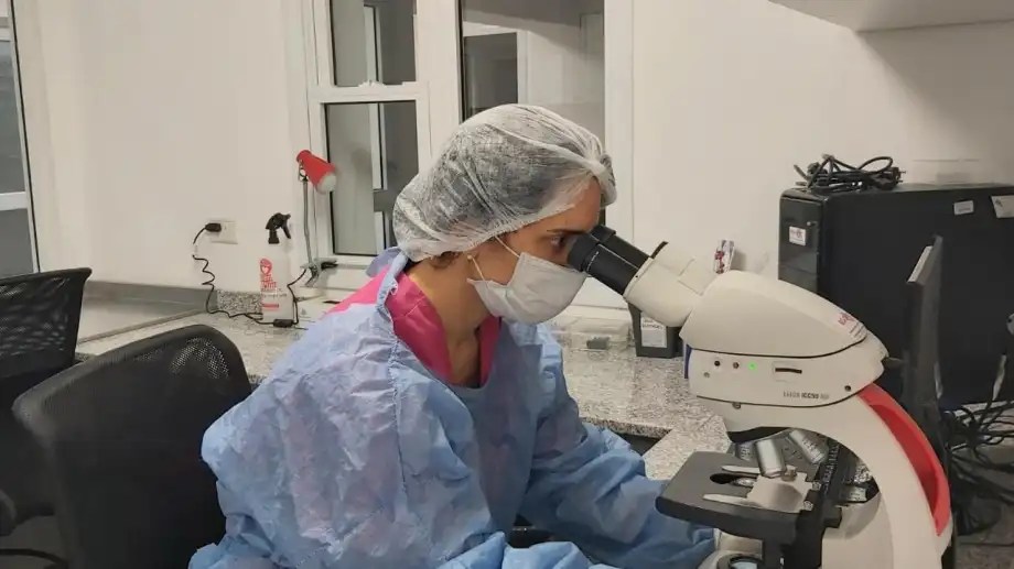 El Poder Judicial de Río Negro solo cuenta con el laboratorio regional de genética forense, que funciona en Bariloche. (foto de archivo)