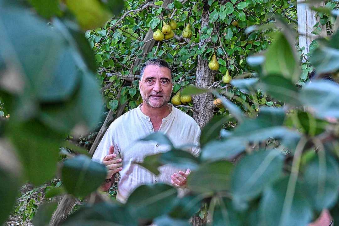 Ariel Diomedi habla con esperanzas de la actividad frutícola: pese a atravesar un año complicado, asegura que el futuro del Alto Valle seguirá ligado a las peras y las manzanas.