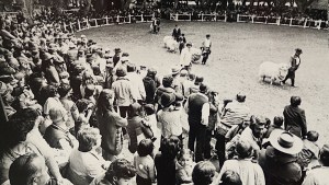 Más que sólo turismo: San Martín de los Andes tuvo su Centro de Enseñanza Agrícola