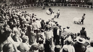 Más que sólo turismo: San Martín de los Andes tuvo su Centro de Enseñanza Agrícola