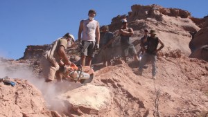 Un pequeño dinosaurio hallado en Río Negro cambia la historia evolutiva: de la Patagonia al mundo