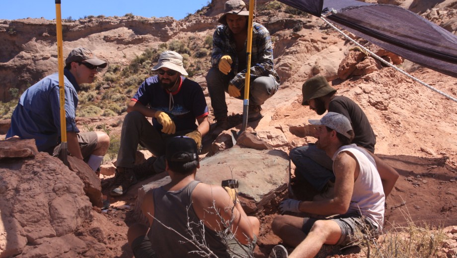 Paleontólogos en pleno trabajo de campo en La Buitrera, cuna de fósiles en Río Negro. 