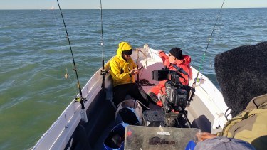 Un documental se convierte en nexo entre los científicos y pescadores, para proteger a un pez en peligro