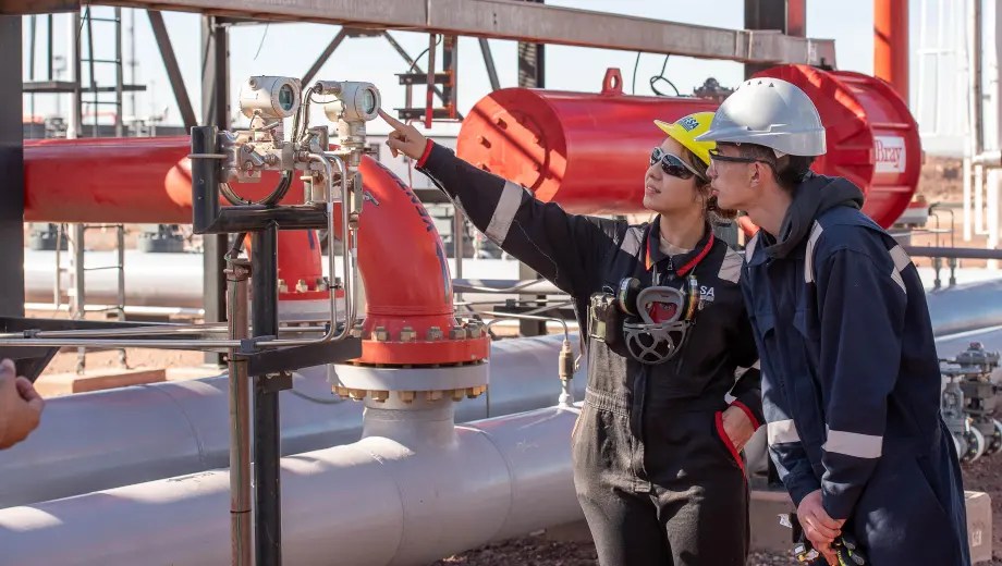 La formación en el IVM estará basa en la práctica, incorporando distintas herramientas que se utilizan en la industria, Foto: gentileza.
