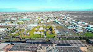 Qué empresas ganaron y perdieron en Neuquén desde que asumió Javier Milei en el país