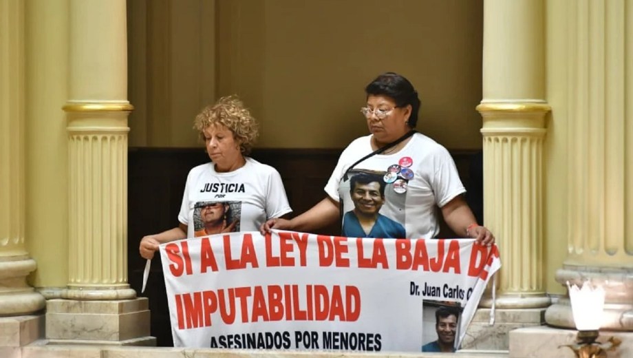 Reforma penal: el Senado aprobó la baja de la edad de imputabilidad. Foto: NA 