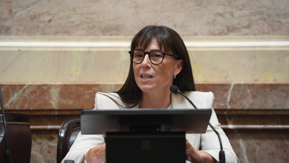 Julieta Corroza, Senadora neuquina por La Neuquinidad.