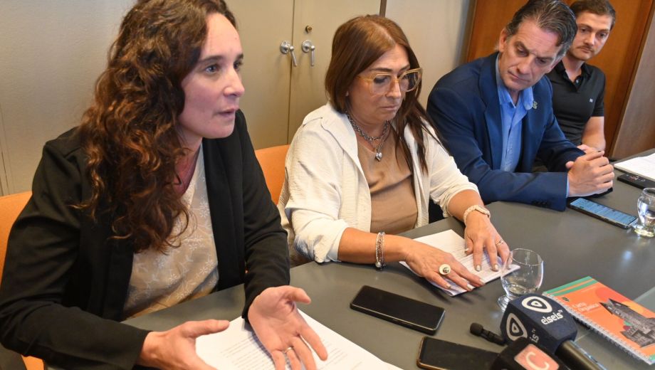 Los concejales de Bariloche Julieta Wallace, Roxana Ferreyra, Leandro Costa Brutten y Facundo Blanco Villalba presentaron un proyecto para crear una comisión de discusión previo a la Convención. Foto. Chino Leiva