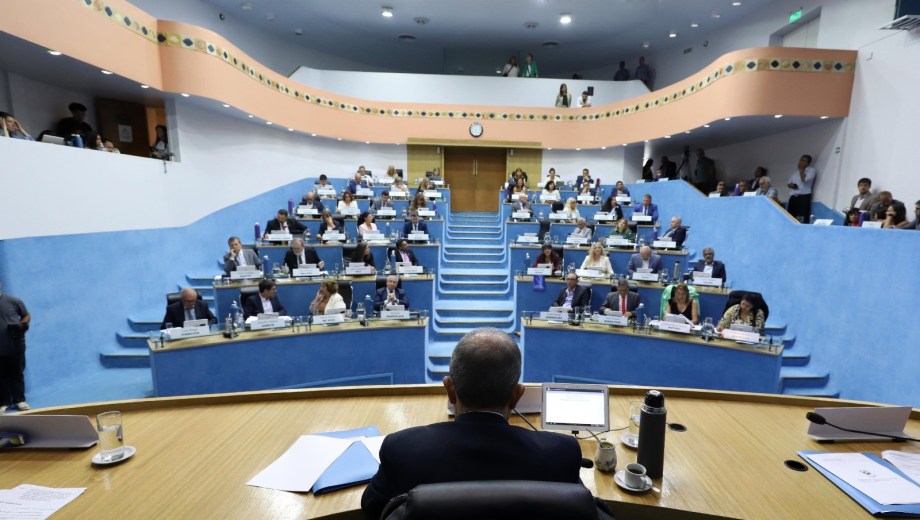 El tratamiento del acuerdo con YPF por GNL se extendió por más de cinco horas. Foto: Marcelo Ochoa.