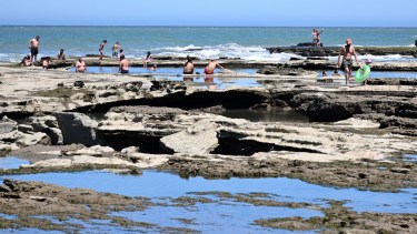Hostel y camping en La Lobería: una alternativa de alojamiento en la costa atlántica para disfrutar el carnaval