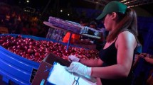 Imagen de Fiesta de la Manzana 2026 en Roca: últimos días para anotarse al Concurso del Peso de la Manzana