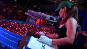Fiesta de la Manzana 2026 en Roca: últimos días para anotarse al Concurso del Peso de la Manzana