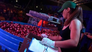 Fiesta de la Manzana 2026 en Roca: últimos días para anotarse al Concurso del Peso de la Manzana
