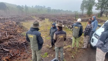 Bajo la sombra del volcán: Mariano, Román y Daniel, los nuevos custodios del Lanín