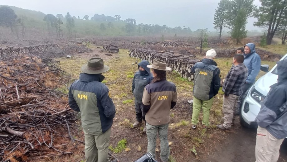 Mariano Ferrero busca conocer a las comunidades y pobladores que conviven en el Parque Nacional Lanín. (Gentileza).