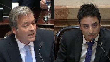 Ley de Glaciares: cómo votaron los senadores de Río Negro y Neuquén